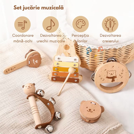 Instrumente Muzicale pentru copii. Set Educativ Montessori
